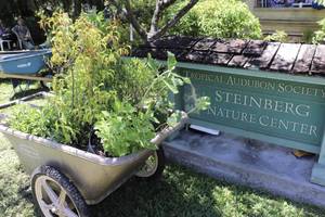 Go Native Plant Sale