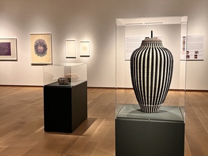 ASL Tour Jeremy Frey: Woven