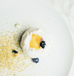 Sugar Shock at Bar One Lounge Uptown