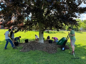 Volunteer Event: Tree Corps