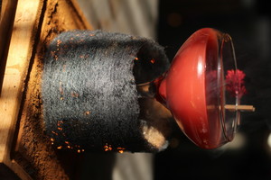 Tako Summer Singles Mixer