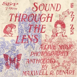 SOUND THROUGH THE LENS: A Live Music Photography Anthology by Maxwell R. Denari