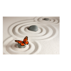 Clear Your Anxiety and Stress Daily With Vibrational Energy Healing Methods