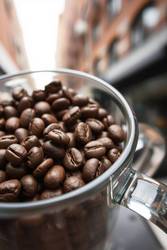 Game-Changing Portal Hub Now Live at Cafely