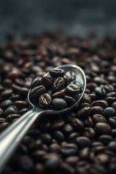 Trends Steeped in Science: Powered by Cafely