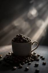 Sip the Day with Cafely