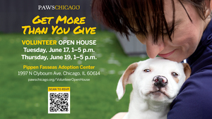 PAWS Chicago Volunteer Open House
