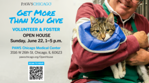PAWS Chicago Volunteer & Foster Open House
