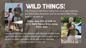 Wild Things - Kid's Wildlife Talk