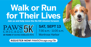 PAWS Chicago 5K