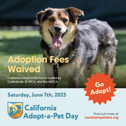 SF SPCA California Adopt-a-Pet-Day
