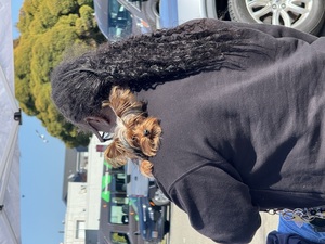 Joybound People & Pets Free Vaccine and Microchip Clinic