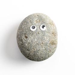 Pet Rocks