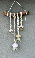 Patchwork Presents Sea Creature Air Plant Macrame Craft Workshop