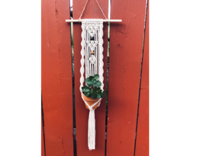 Patchwork Presents Twisted Macrame Plant Hanger Craft Workshop