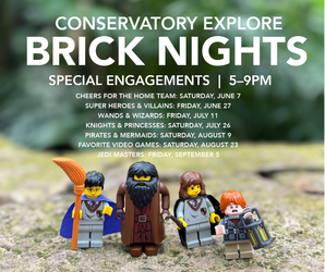 Conservatory Explore: Brick Nights – Super Heroes & Villains