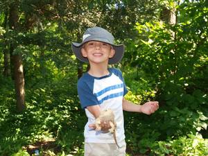 Join Wildlands' PreK Pathfinders: Into the Creek! at Trexler Nature Preserve @ The Ford -