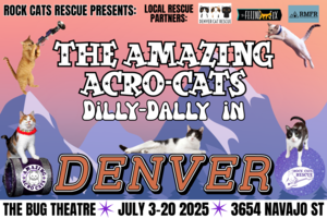 The Amazing Acro-Cats: Dilly-Dally in Denver