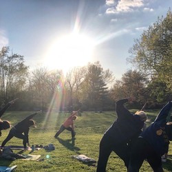 Active in the Outdoors: Vinyasa Flow Yoga