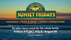 Sunset Fridays Concert Series @ SF Zoo