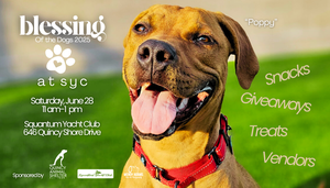 Blessing of the Dogs at Squantum Yacht Club