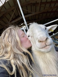 Capital Region Lamb Jam