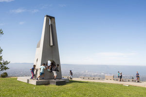 Summer Solstice Celebration