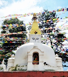 Guru Purnima: Honoring Our Teachers