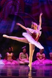Magic Carpet: On Your Toes with the Sugar Plum Fairy