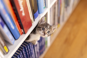 CATurday