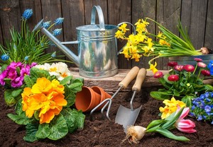 Creating a Cottage Style Garden at the Mendham Township Library