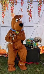 Take your dog to work day with Scooby Doo