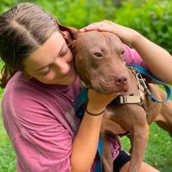 Find a Furry Friend at a Dog Adoption Event at Sakonnet Vineyard June 22nd August 17th & October 5th