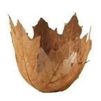 MAACM Sunday Film Series Presents:  PBS Craft in America – Landscape