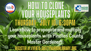 How to Clone Your Houseplants