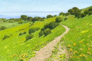 Gallery 9 featured artist  for July 2025  is    Abby Zhang - "California in Brushstrokes"