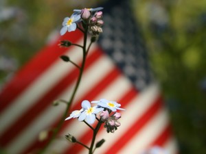 4th of July Family Forest Bathing
