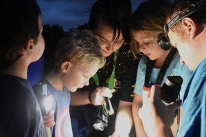 Fireflies and Friends Festival