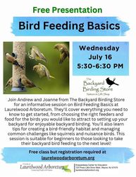 Bird Feeding Basics