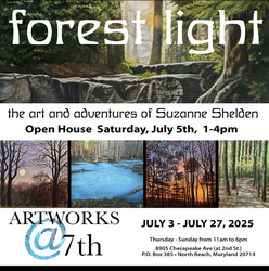 Forest Light - The Art and Adventures of Suzanne Shelden