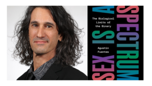 Agustín Fuentes with Rose Eveleth - Sex Is a Spectrum