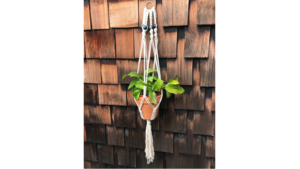 Patchwork Presents Macrame Plant Hanger Craft Workshop