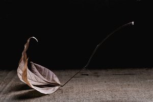 Weekend of Creativity