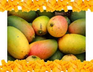 Tropical Fruit & Vegetable Society of Redland Presents Mango Mania