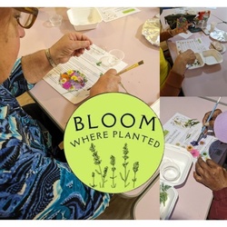 Bloom Where Planted: Pressed Flower Suncatcher