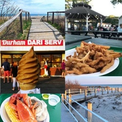 Adult Day Trip: Shoreline