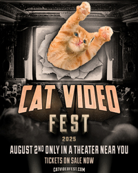 CatVideoFest 2025
