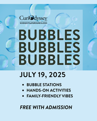 Bubbles Bubbles Bubbles