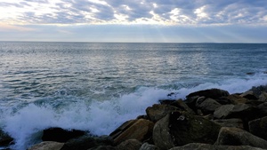 Waterscapes: A Summer Reading in the Garden Rotch Jones Duff House July 18, 2025 5:30 pm