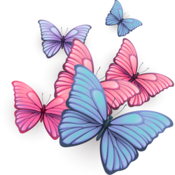 The Colorful World of Butterflies